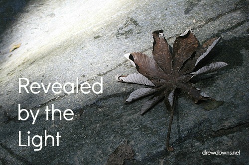 Revealed By the Light