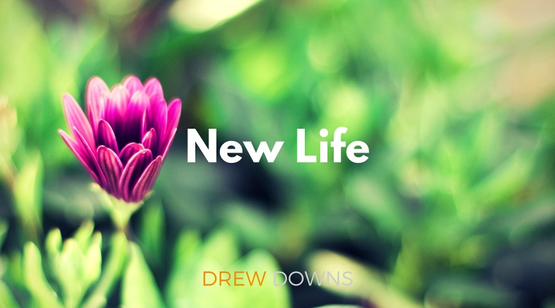 New Life - Mary and the Grace of Discipleship