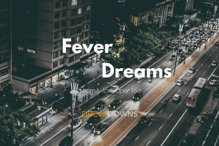 Fever Dreams - a homily for Proper 15A