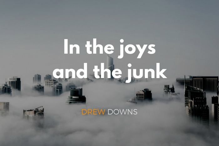 In the Joys and the Junk