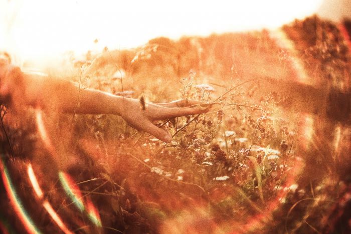 "Healing of the Ten" - a photo of a person's hand in a field, the sun glowing and making it seem magical