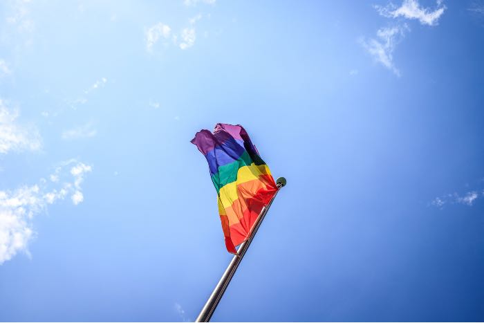 a photo of a pride flag