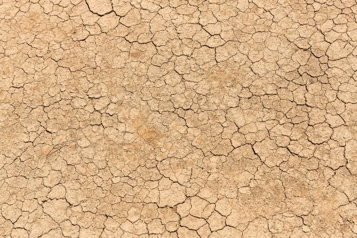 a photo of earth, dry and cracking.
