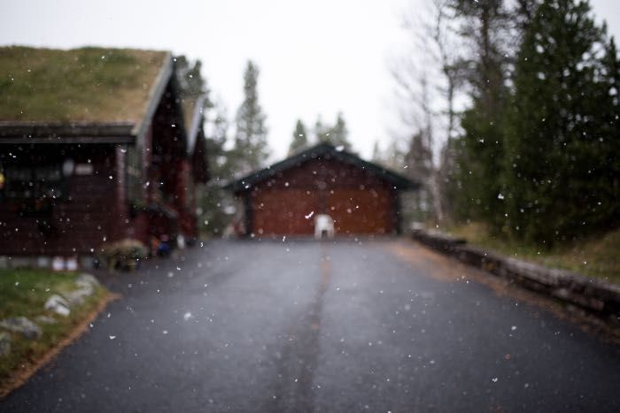 a photo of a driveway, but the lens is focusing on the snowflakes in the foreground.