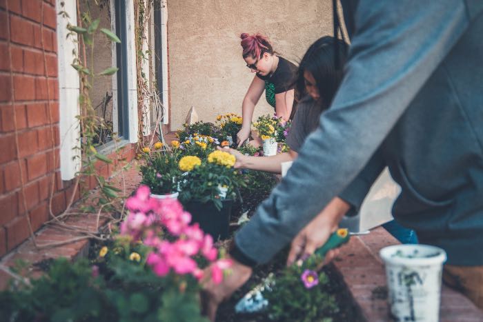 a photo of people planting flowers in flower boxes