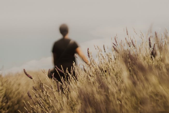 a photo of a person walking through a field in front of the camera—the figure is a bit out of focus