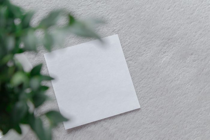 a photo of a blank, square piece of paper, green leaves in the foreground.