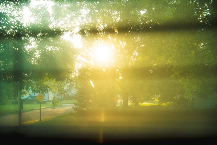 a photo through a window of the sun peaking through trees, washing out the image