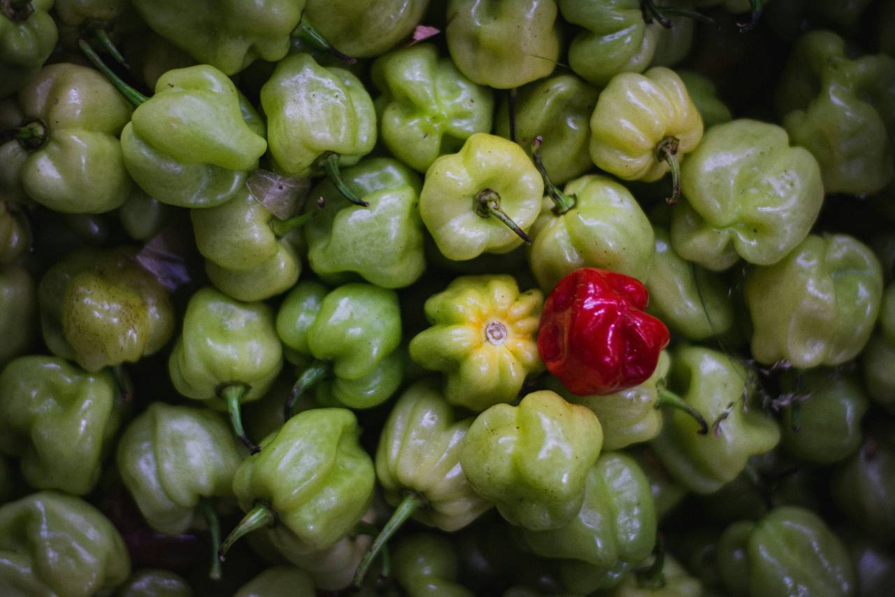 a picture of one red pepper in a pile of green ones