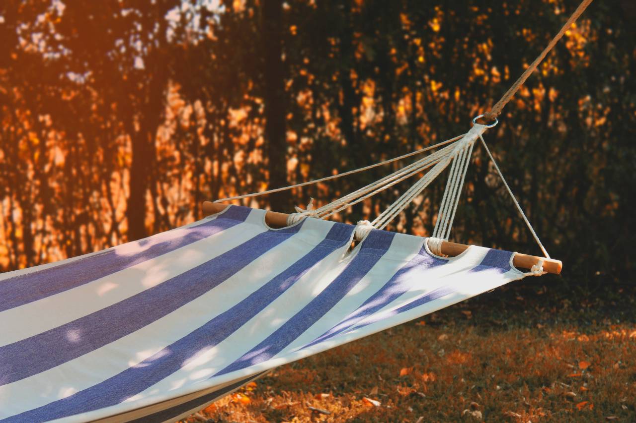 a photo of a hammock.