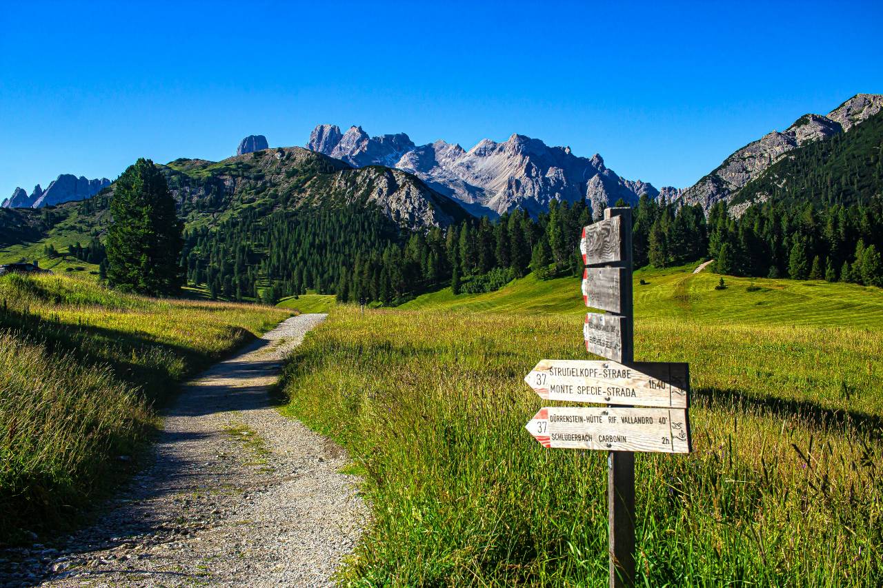 a photo of a path and a sign