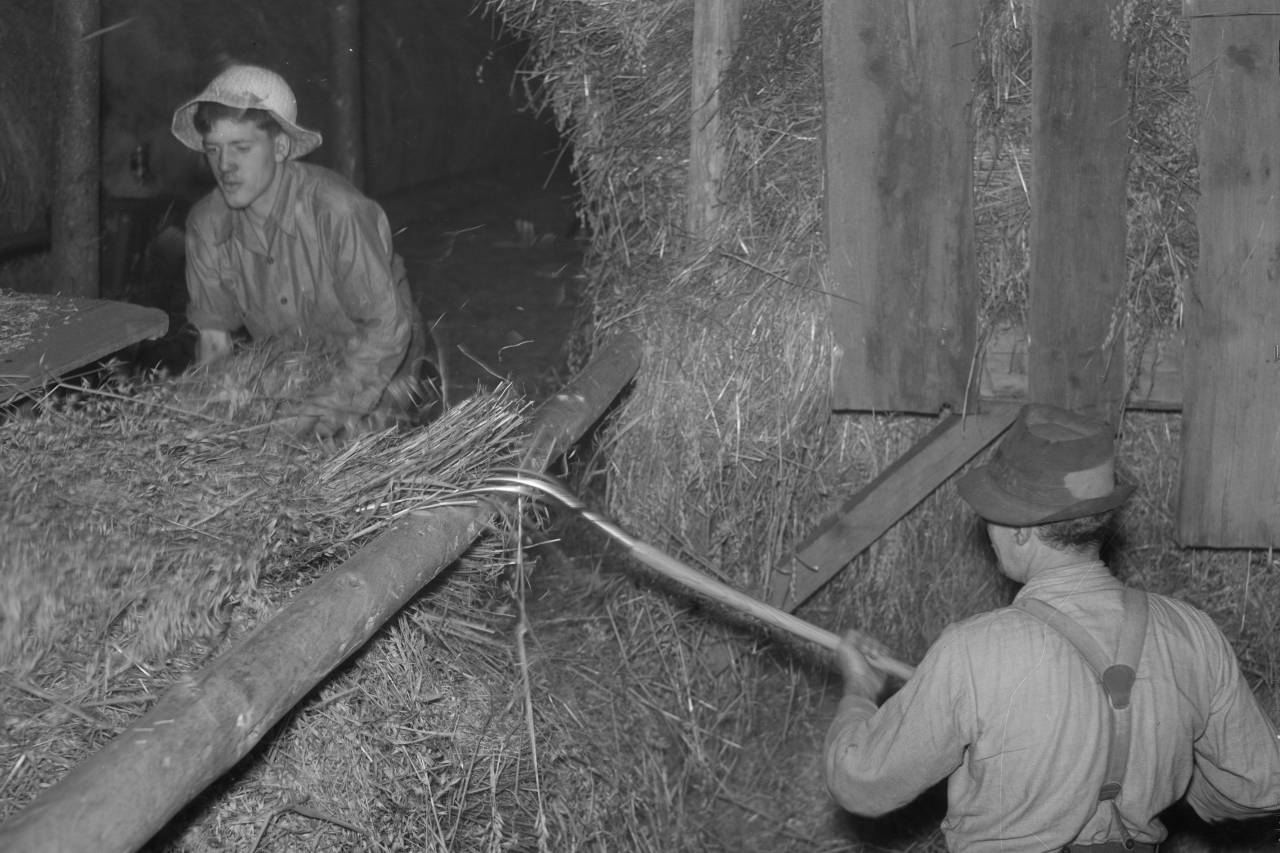 An old picture of men working with hay and a pitchfork